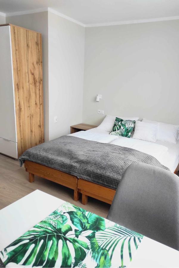 Apartamenty Maciata Biały Dunajec Εξωτερικό φωτογραφία